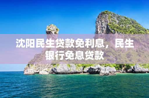 辽宁民生贷款免利息，民生银行免息贷款