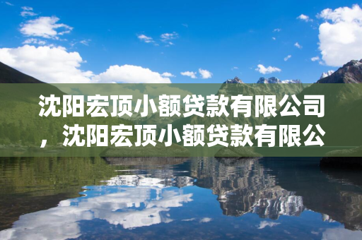 辽宁宏顶小额贷款有限公司，辽宁宏顶小额贷款有限公司怎么样